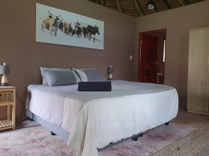 accommodation_1-1